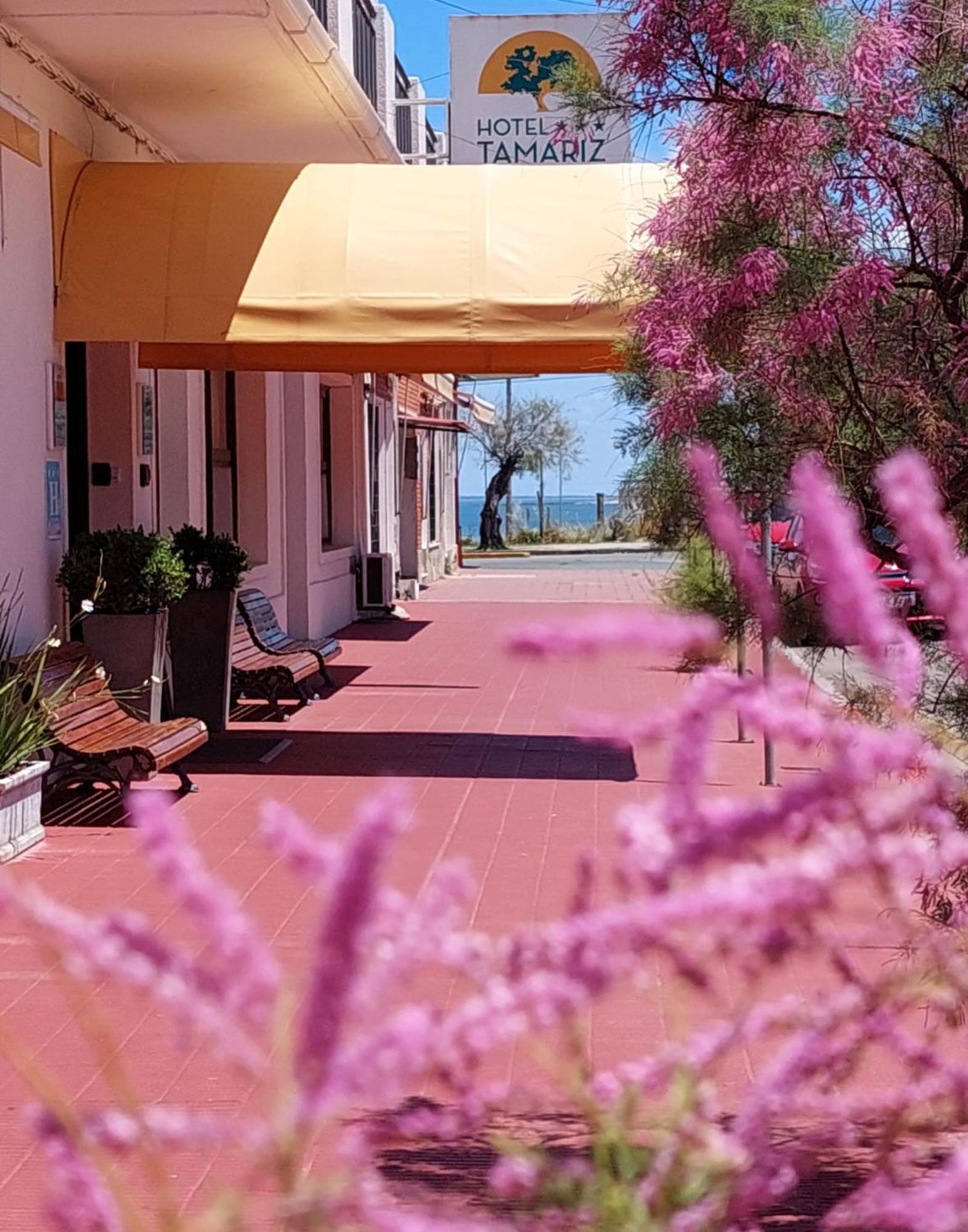 Hotel Tamariz Piriápolis Kültér fotó